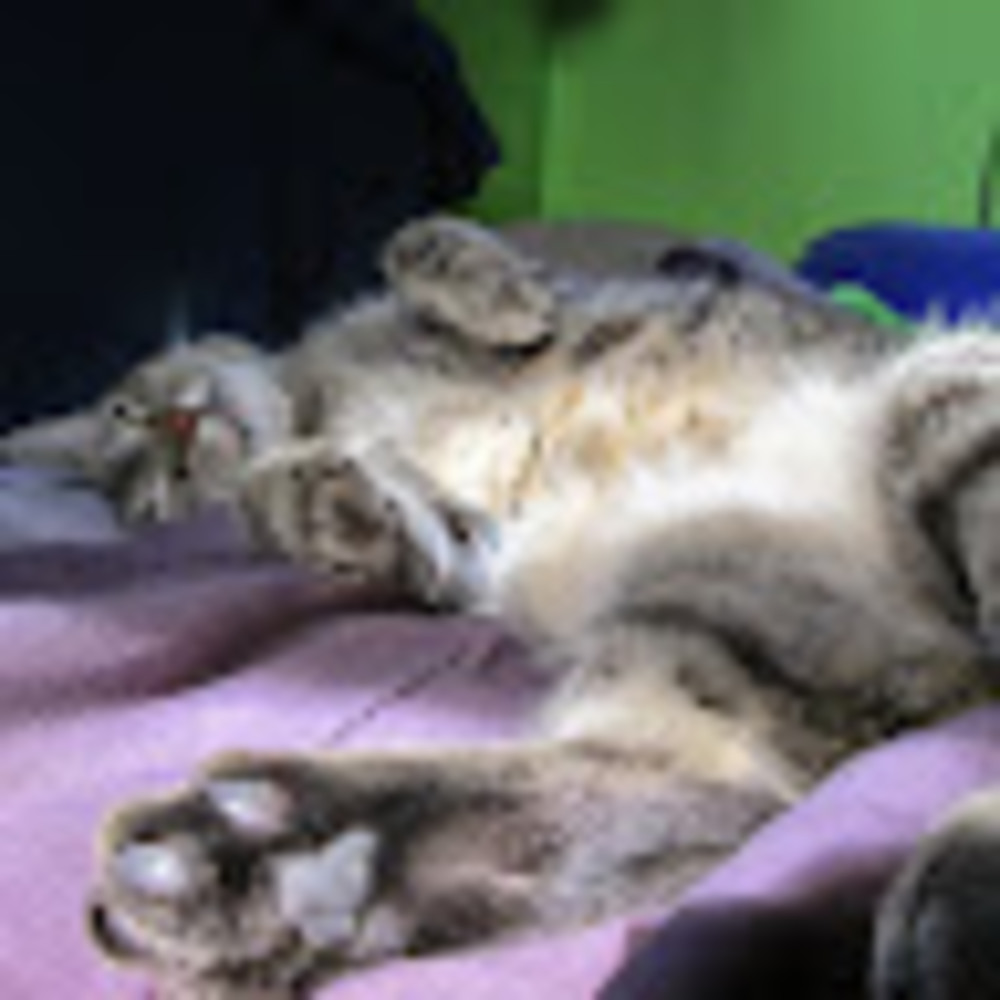 Meet your Posher, Amanda